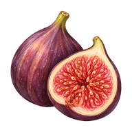 Illustrated ripe fig